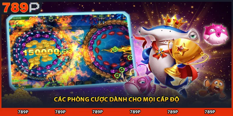 Các phòng cược dành cho mọi cấp độ