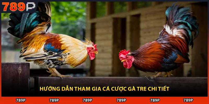 Hướng dẫn tham gia cá cược gà tre chi tiết