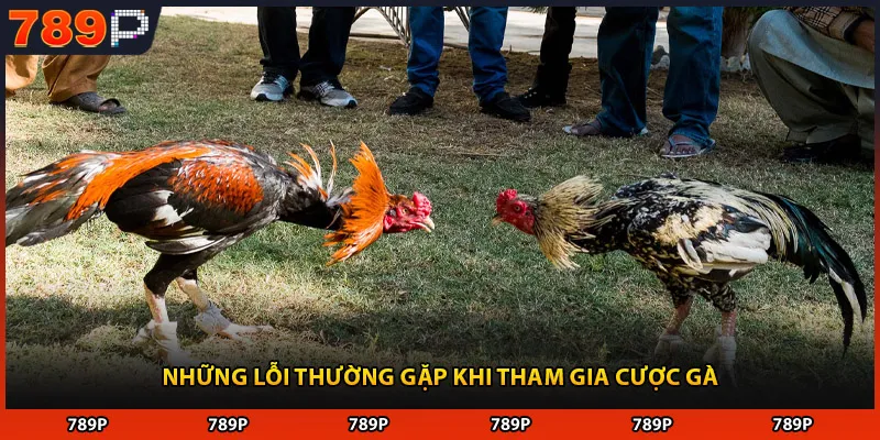 Những lỗi thường gặp khi tham gia cược gà